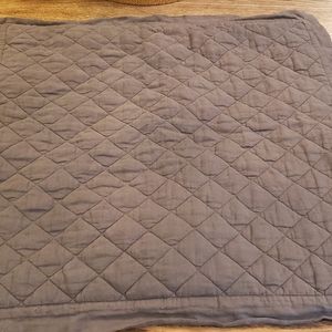 Pottery Barn Euro Sham